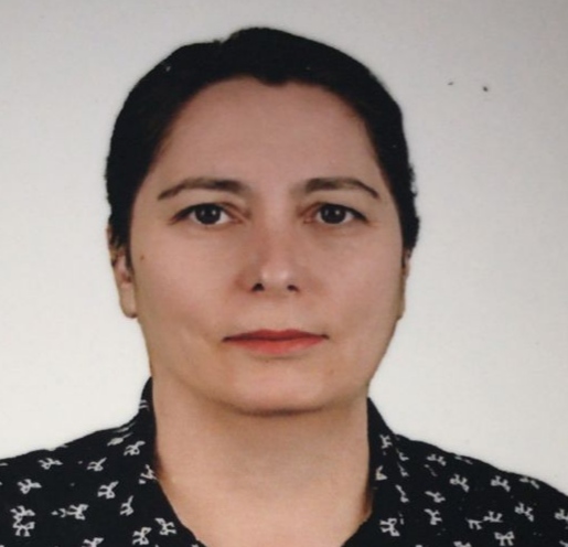 3183 üye numaralı Sercivan K. kullanıcısının profil resmi