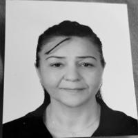 Meltemdemirel M.