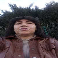 ayfer d.