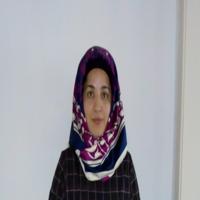 Umida O.